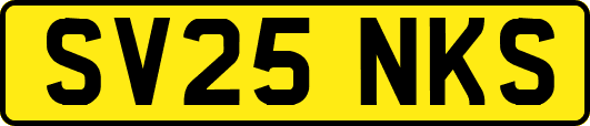 SV25NKS