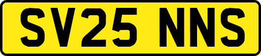 SV25NNS