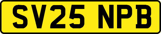 SV25NPB