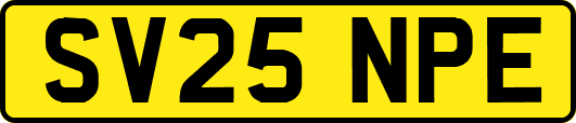 SV25NPE