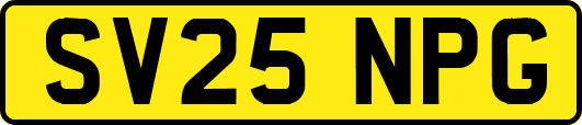 SV25NPG