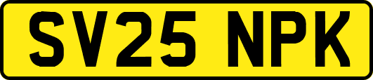 SV25NPK