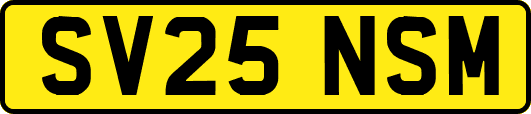 SV25NSM