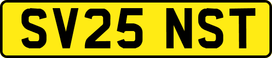 SV25NST