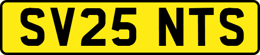 SV25NTS
