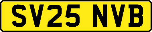 SV25NVB