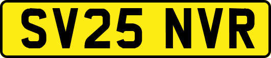 SV25NVR