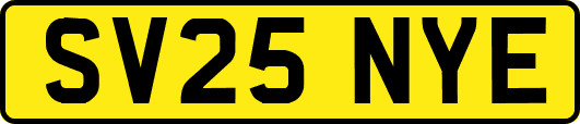 SV25NYE