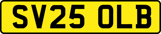 SV25OLB