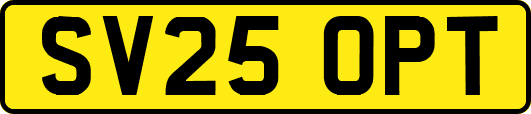 SV25OPT