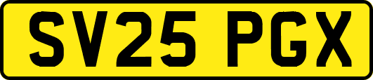 SV25PGX