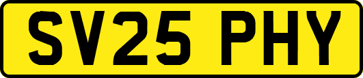 SV25PHY