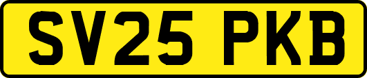 SV25PKB