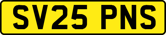 SV25PNS