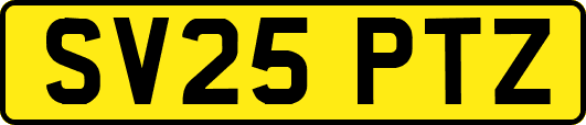 SV25PTZ