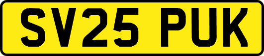 SV25PUK