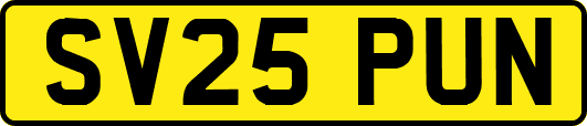SV25PUN