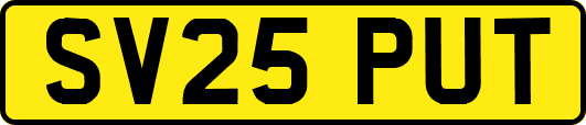 SV25PUT