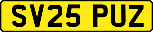SV25PUZ