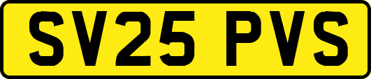 SV25PVS