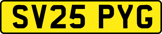 SV25PYG