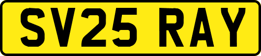 SV25RAY