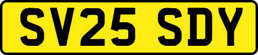 SV25SDY