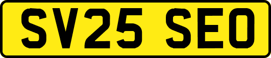 SV25SEO