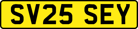 SV25SEY