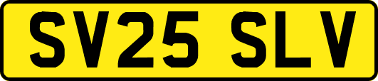SV25SLV