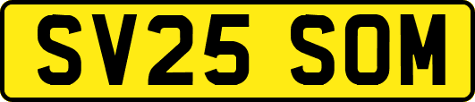 SV25SOM