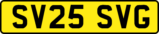 SV25SVG
