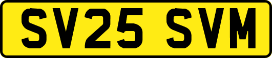 SV25SVM