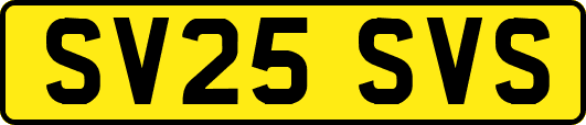SV25SVS