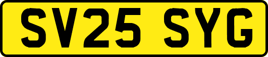 SV25SYG