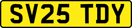 SV25TDY