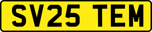 SV25TEM
