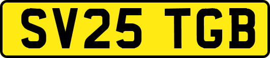SV25TGB