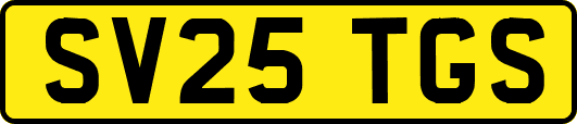 SV25TGS