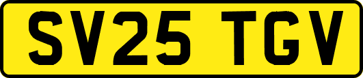 SV25TGV