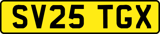 SV25TGX