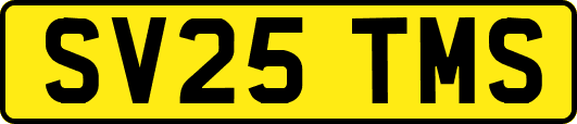 SV25TMS