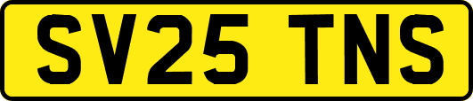 SV25TNS