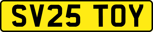 SV25TOY