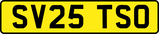 SV25TSO