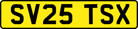 SV25TSX