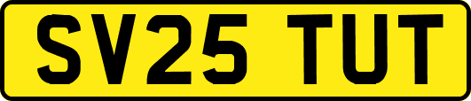 SV25TUT