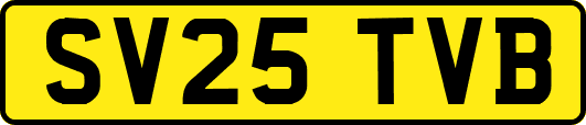 SV25TVB