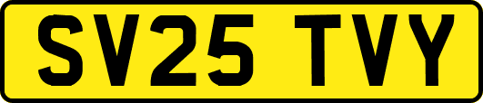 SV25TVY