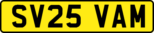 SV25VAM